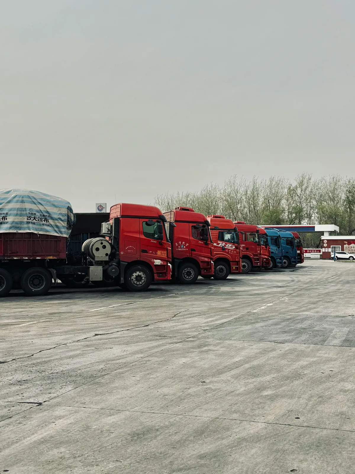 Line-up of heavy haulage trucks staged in a Logitera transport yard